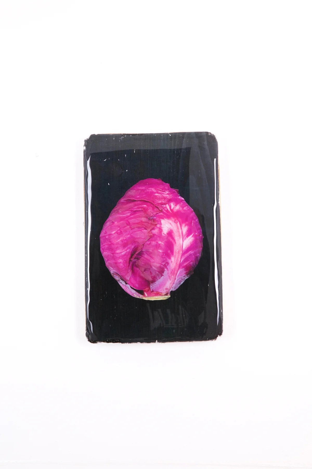 StigerWoods wooden tile Red Cabbage on Black