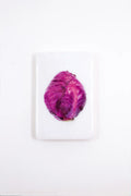 StigerWoods wooden tile Red Cabbage on White