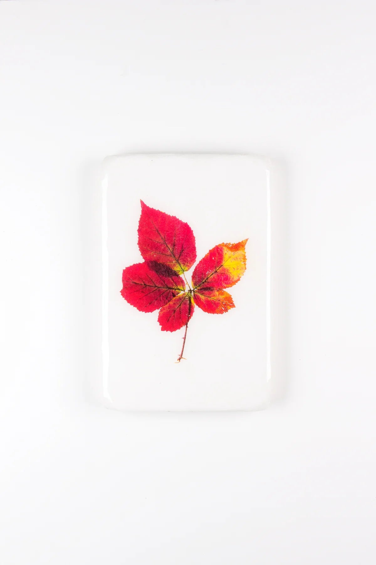 StigerWoods wooden tile Red Autumn Leaves