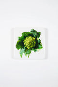 StigerWoods wooden tile Romanesco