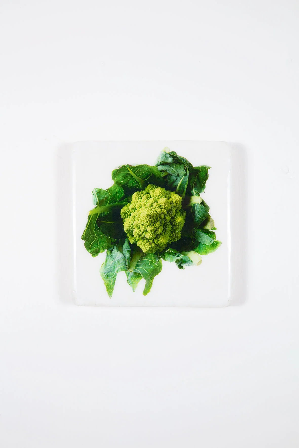 StigerWoods wooden tile Romanesco