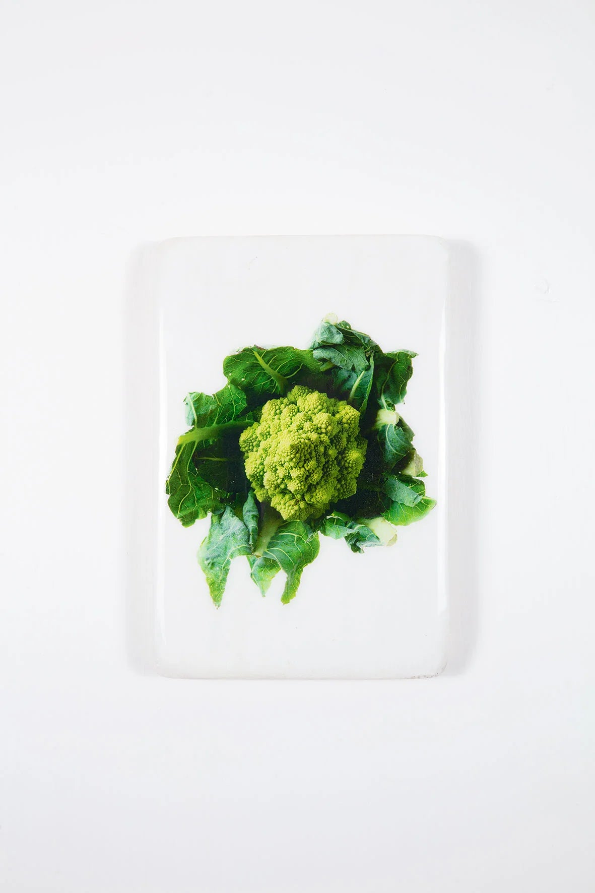 StigerWoods wooden tile Romanesco