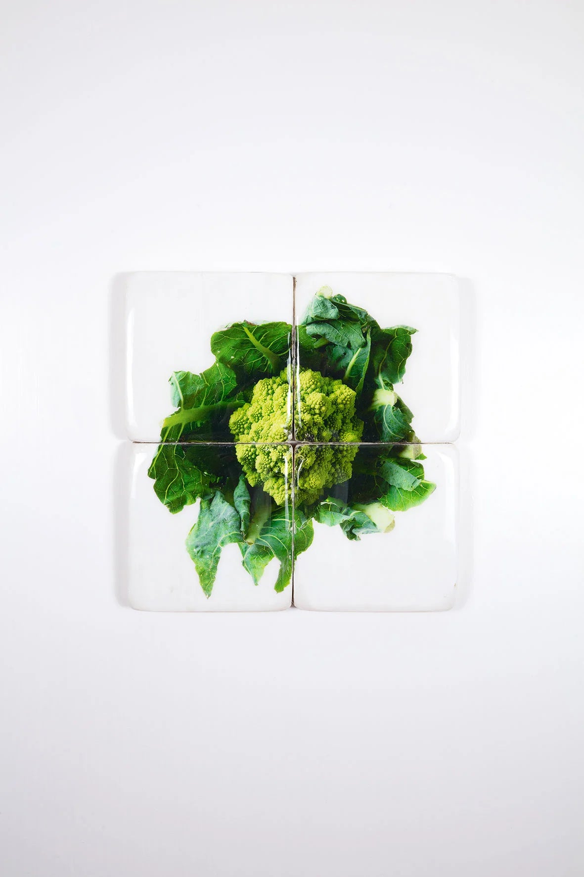 StigerWoods wooden tile Romanesco