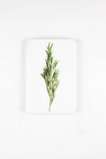 StigerWoods wooden tile Rosemary