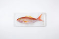 StigerWoods wooden tile Rosy Snapper