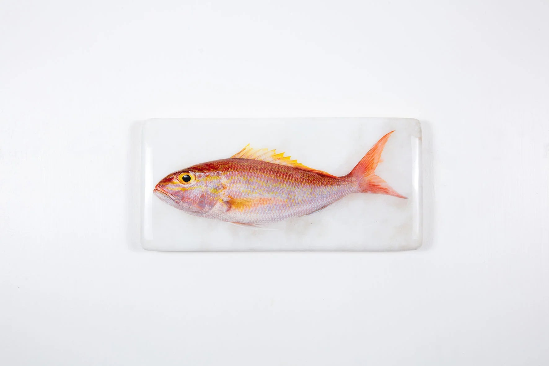 StigerWoods wooden tile Rosy Snapper