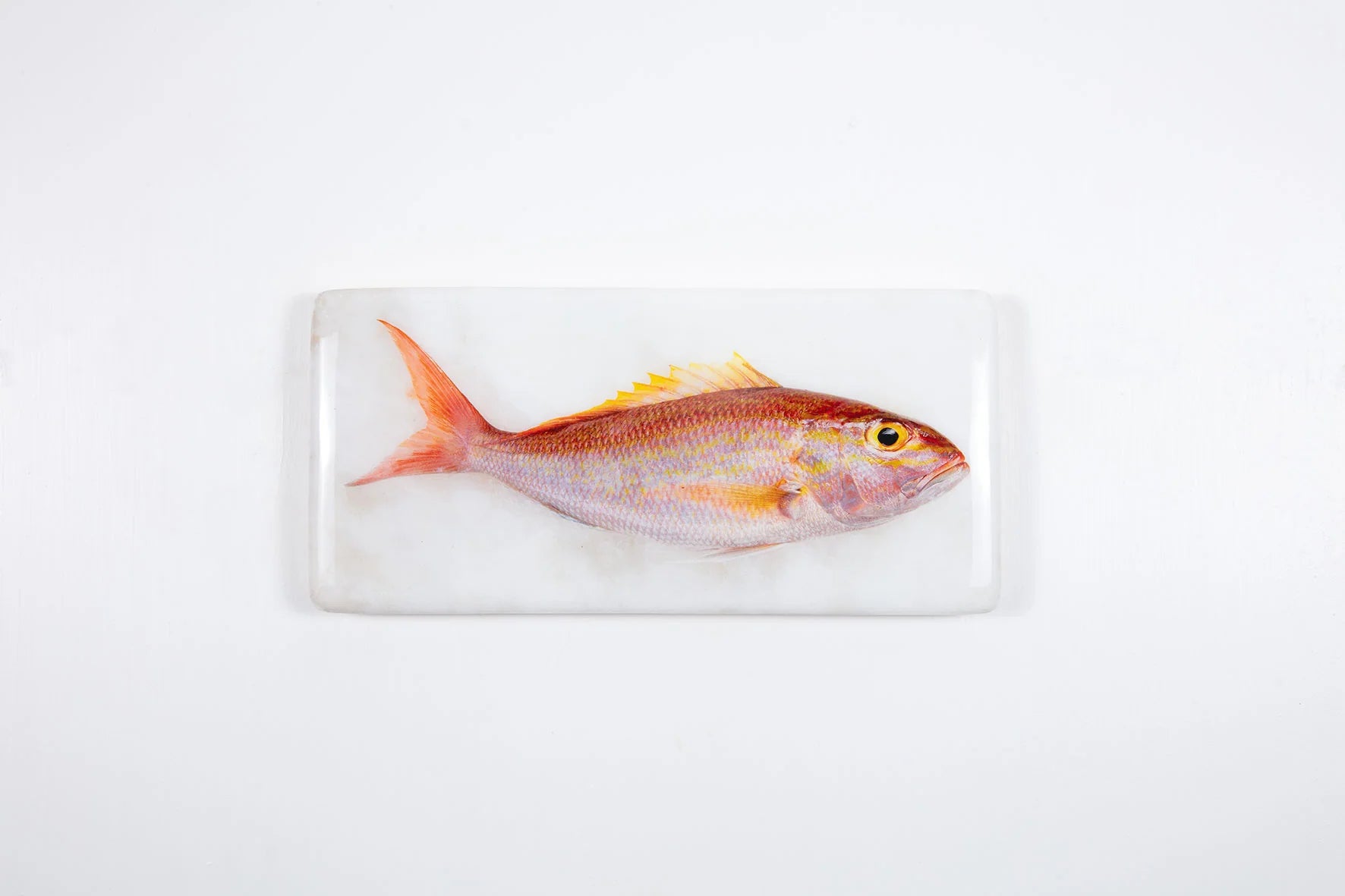StigerWoods wooden tile Rosy Snapper