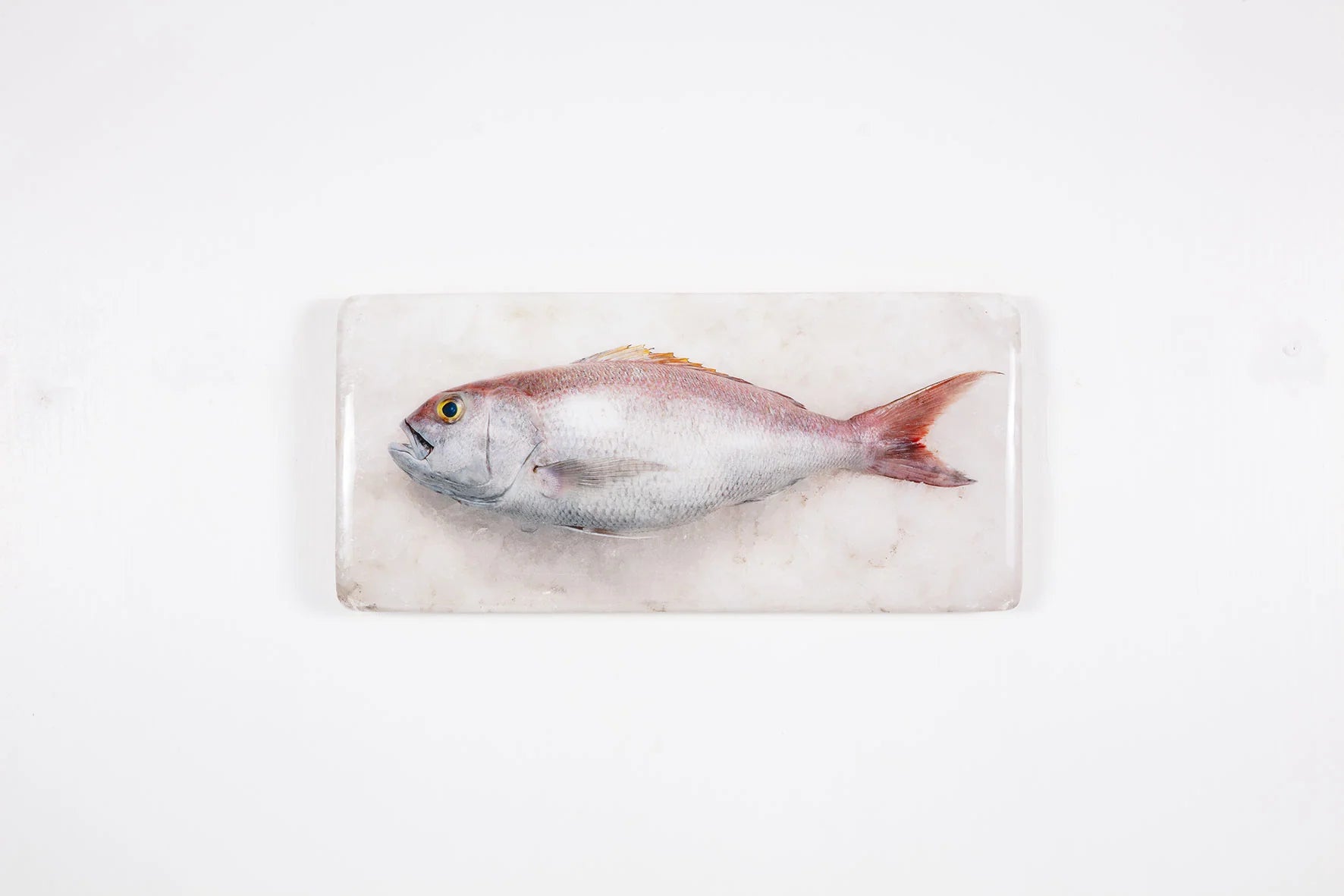 StigerWoods wooden tile Rosy Snapper
