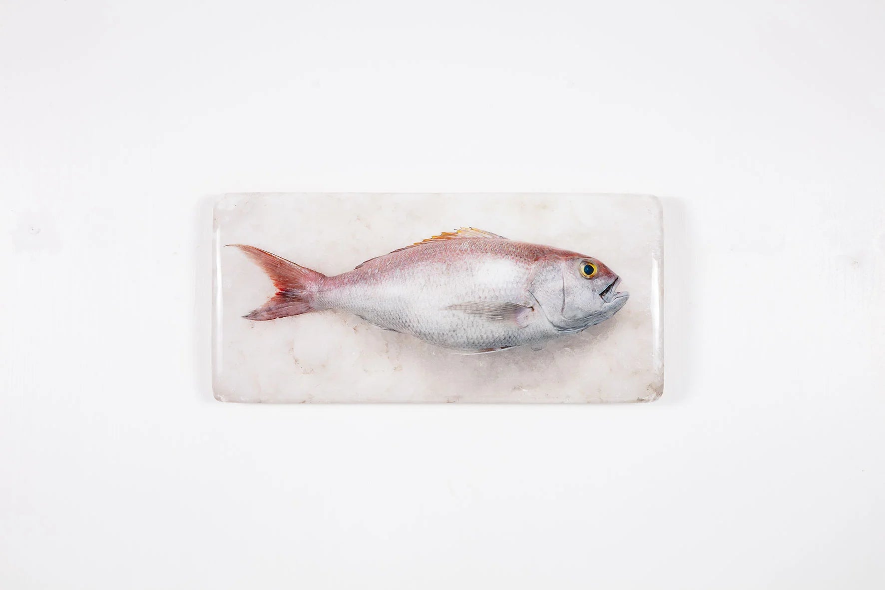 StigerWoods wooden tile Rosy Snapper