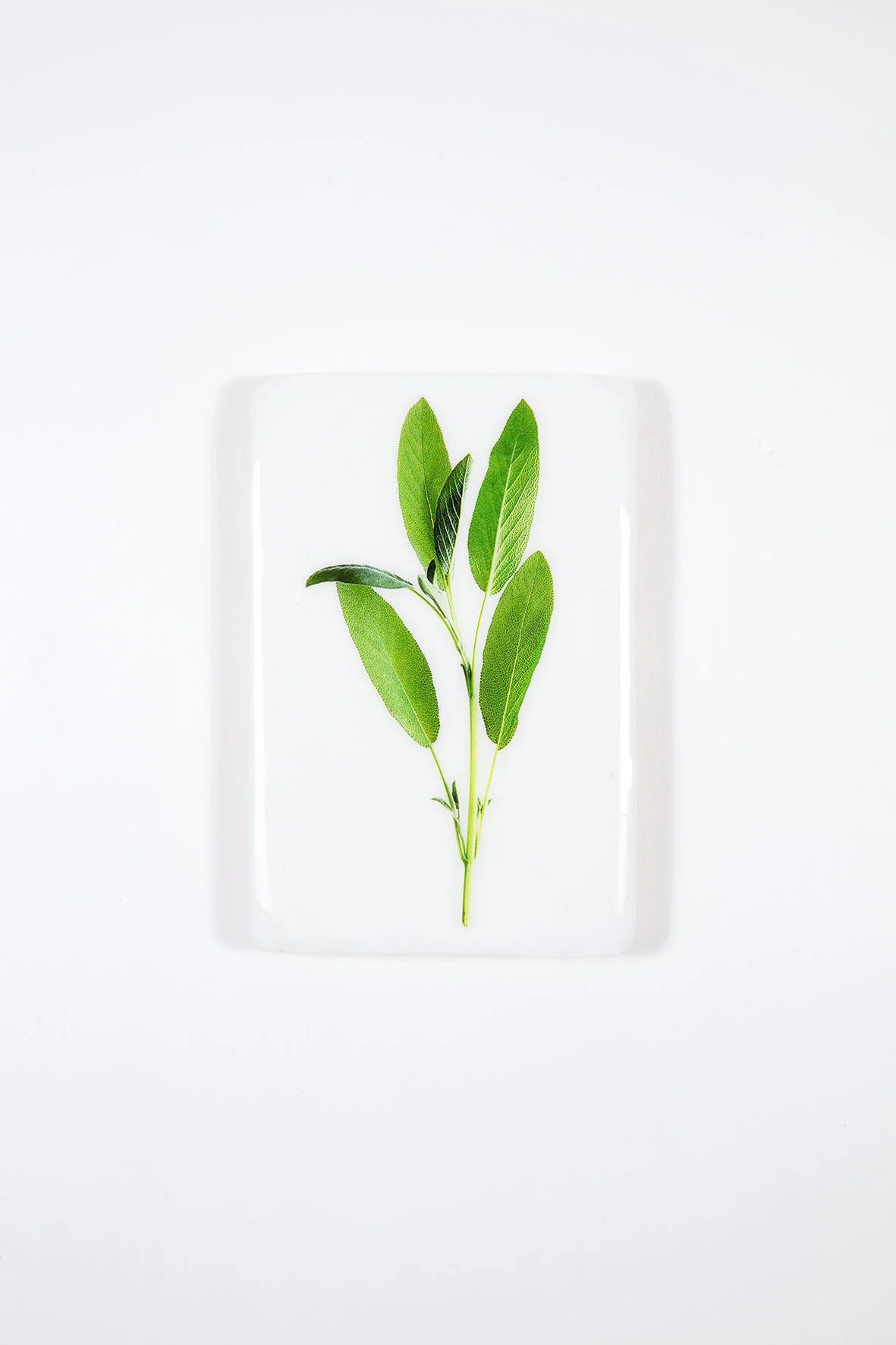 StigerWoods wooden tile Sage