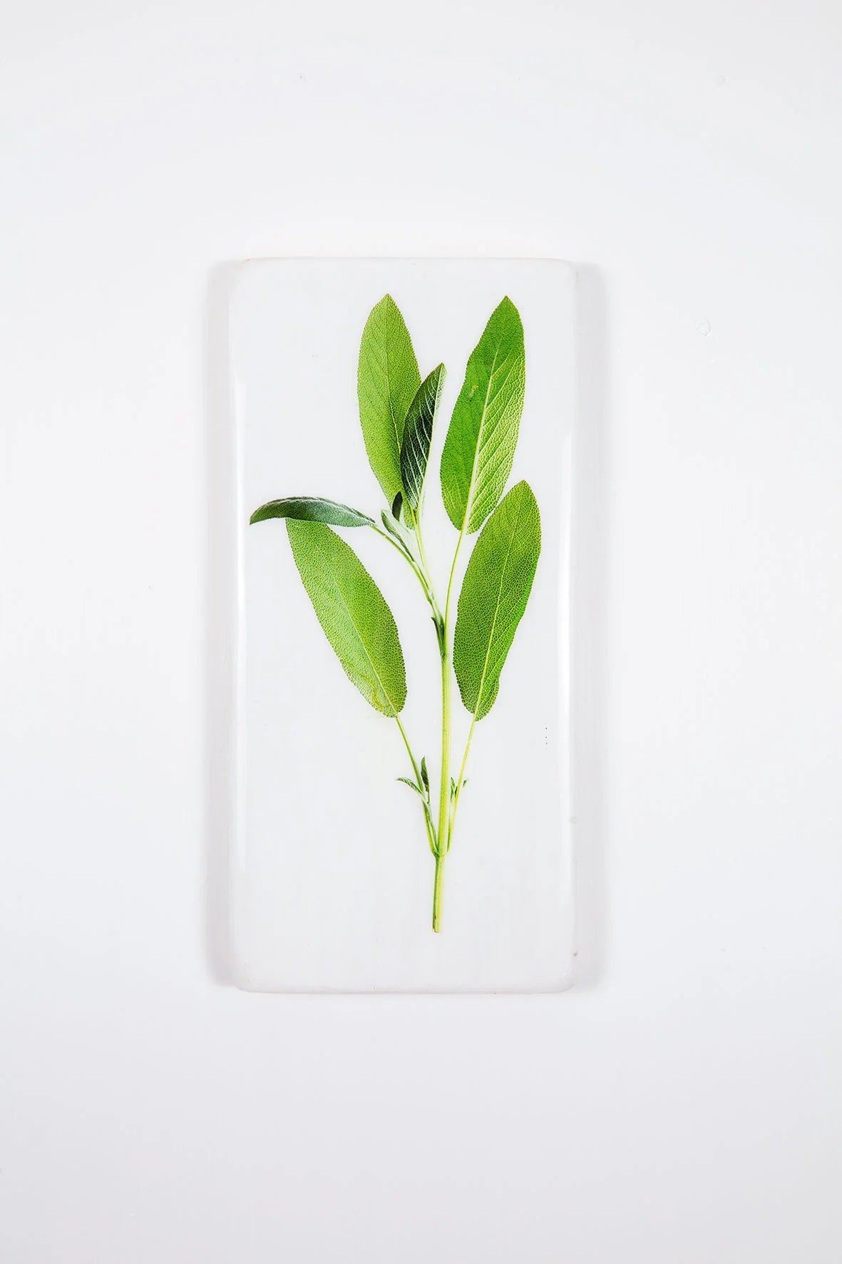 StigerWoods wooden tile Sage