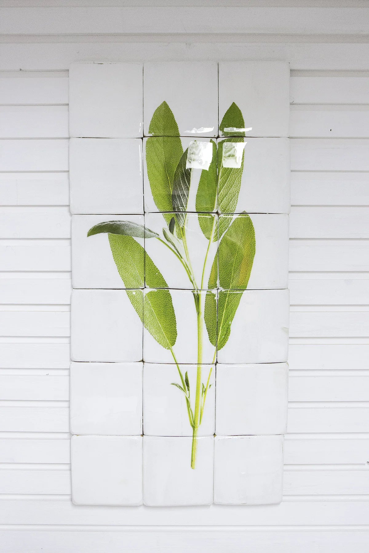 StigerWoods wooden tile Sage