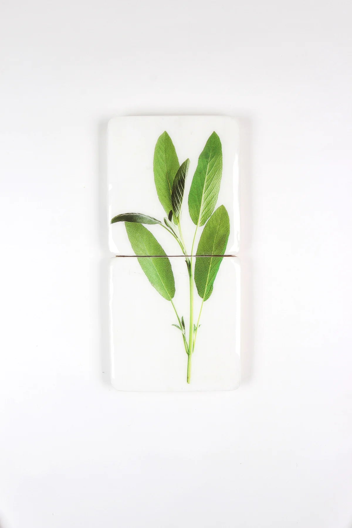 StigerWoods wooden tile Sage
