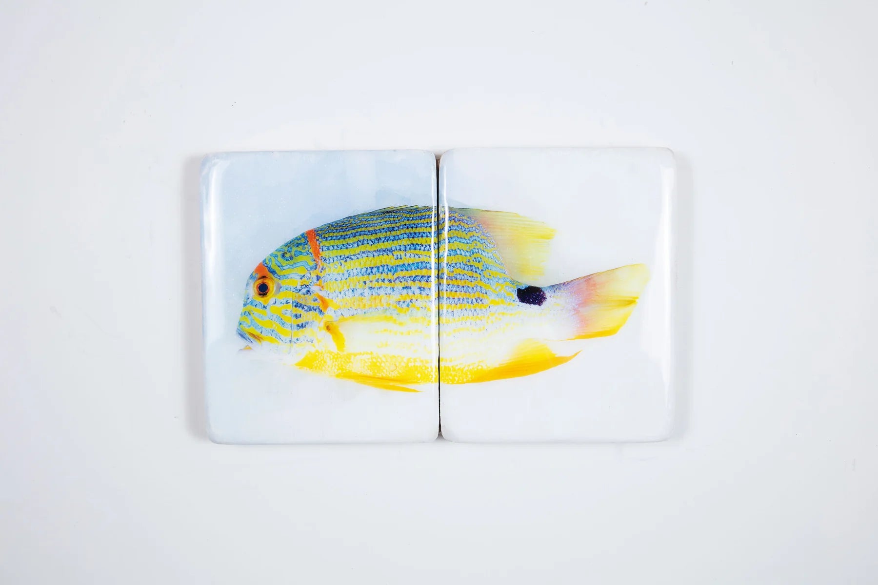 StigerWoods wooden tile Sailfin Snapper