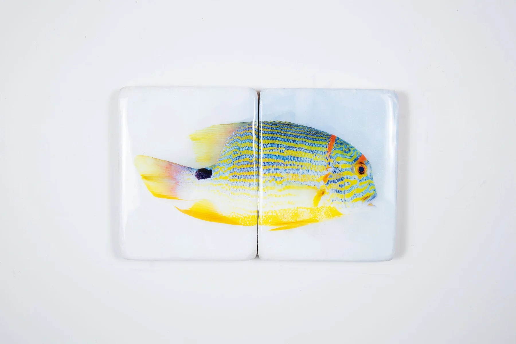 StigerWoods wooden tile Sailfin Snapper
