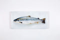 StigerWoods wooden tile Scottish Salmon