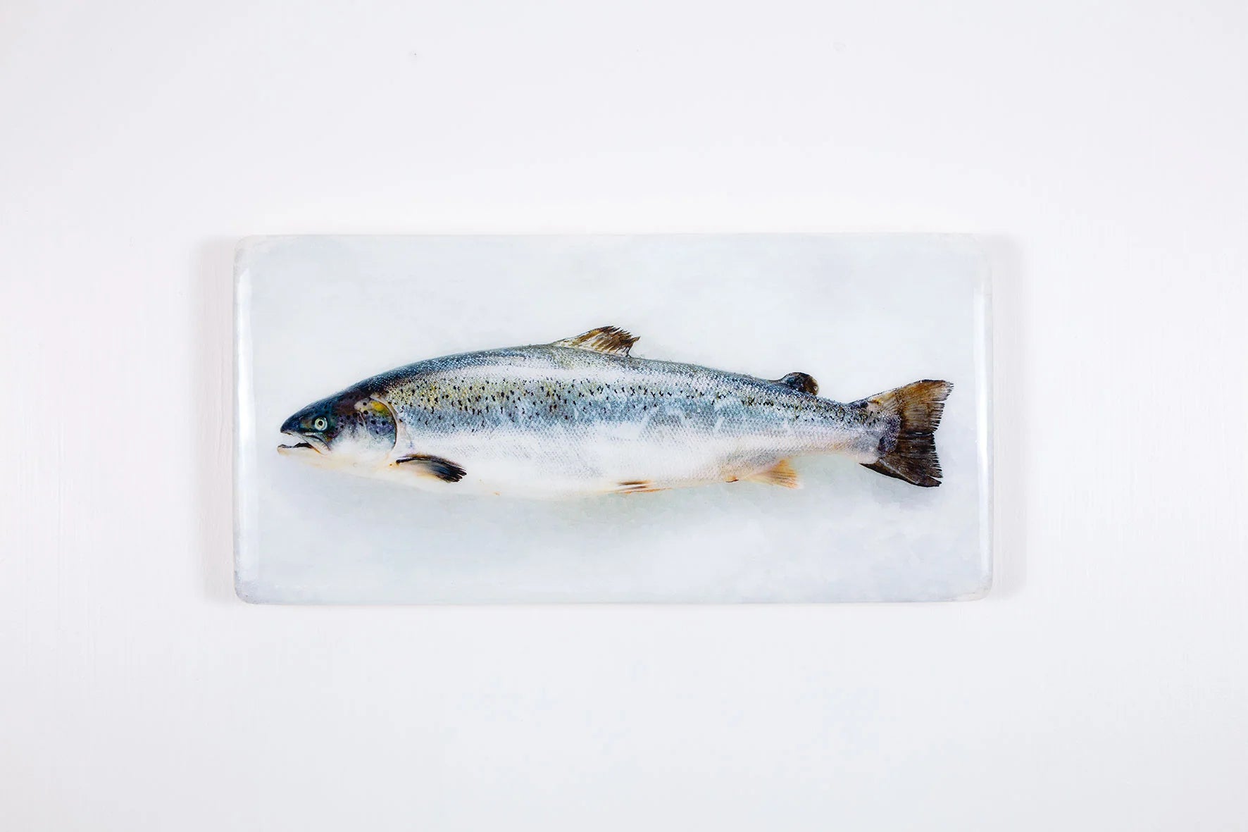 StigerWoods wooden tile Scottish Salmon