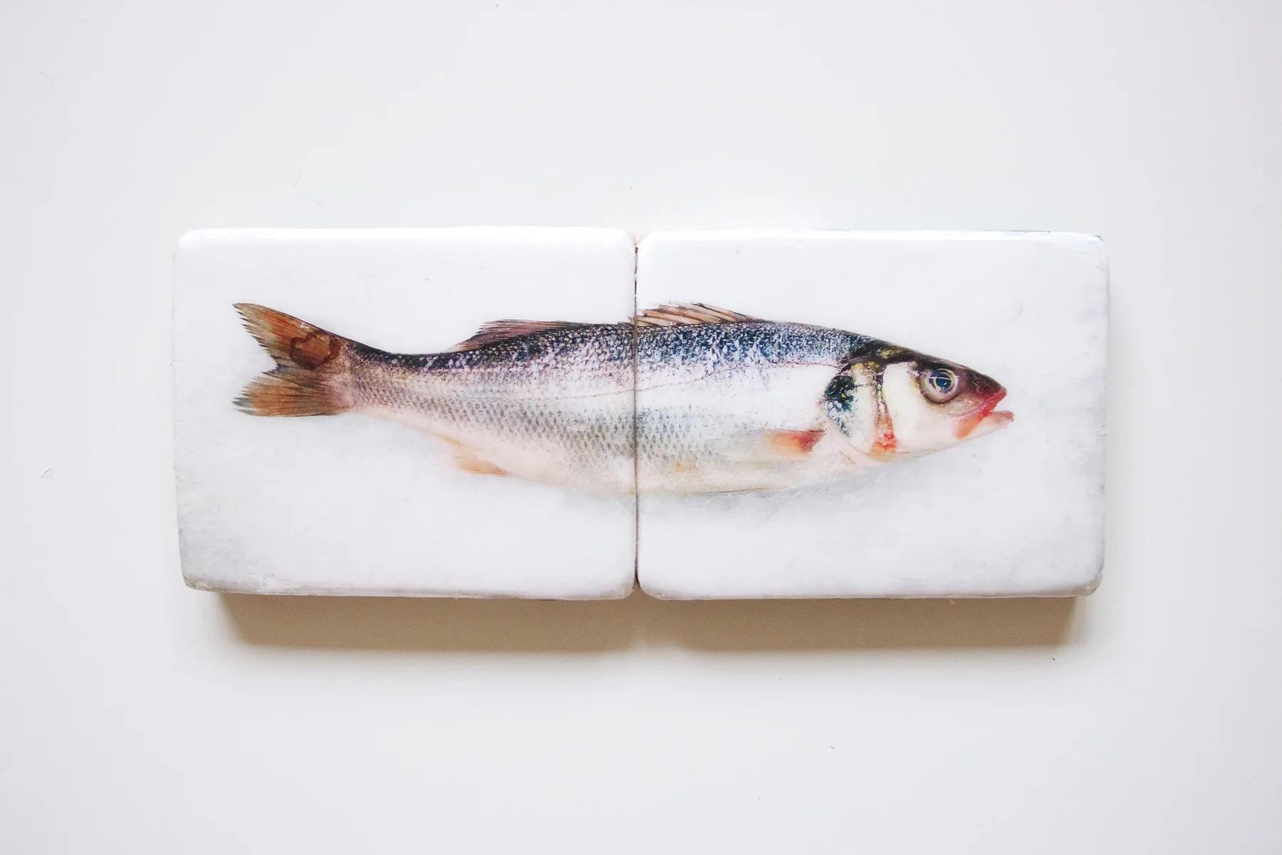 StigerWoods wooden tile Seabass