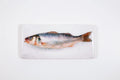 StigerWoods wooden tile Seabass