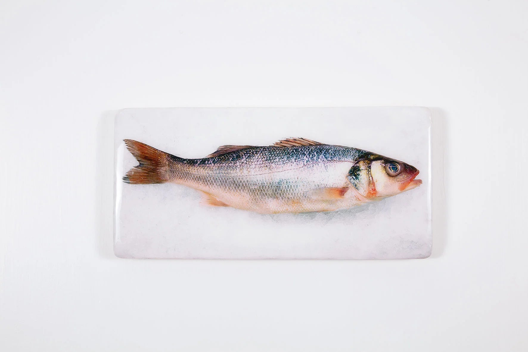 StigerWoods wooden tile Seabass