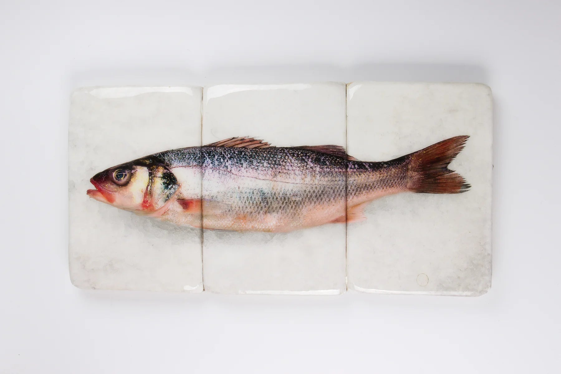 StigerWoods wooden tile Seabass