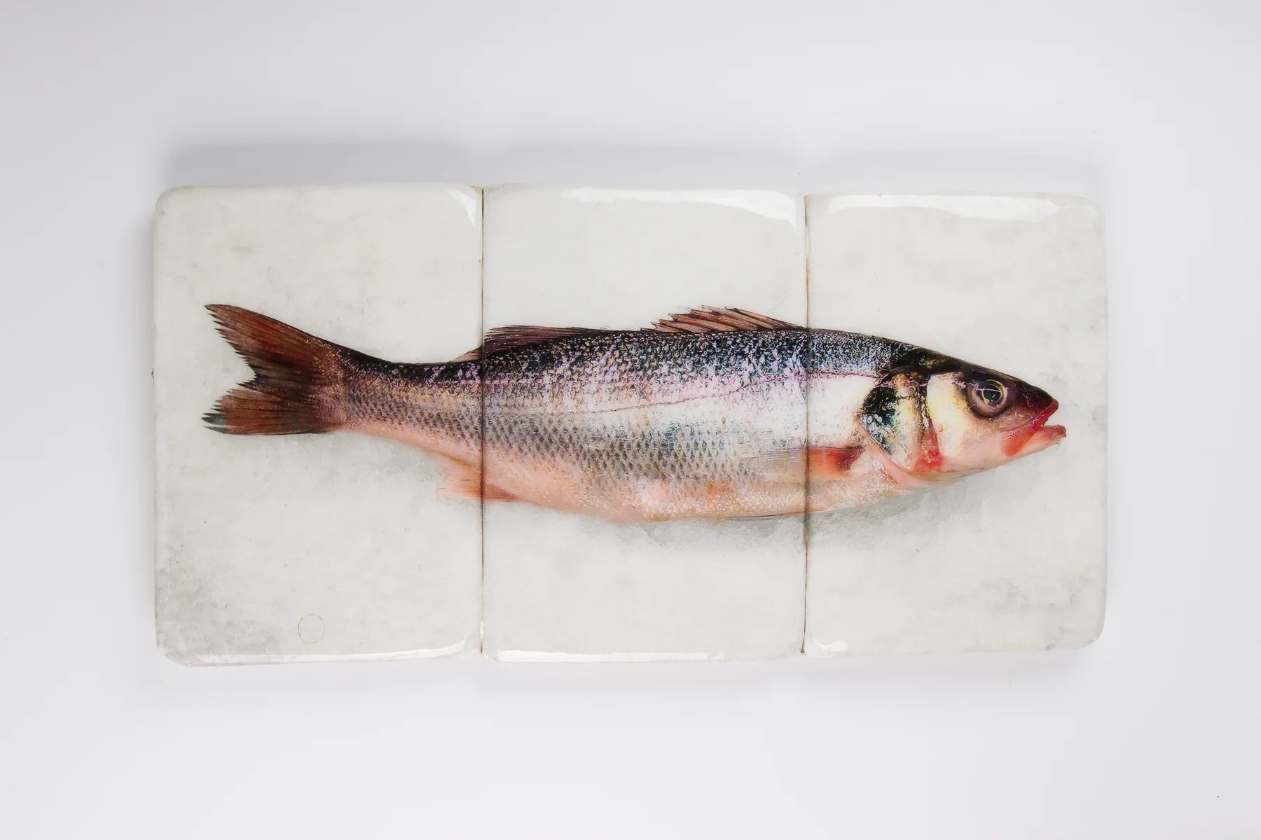 StigerWoods wooden tile Seabass
