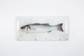 StigerWoods wooden tile Sea Bass on White Table