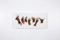 StigerWoods wooden tile Seven Percebes