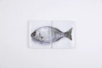 StigerWoods wooden tile Silver Dorade on Marble
