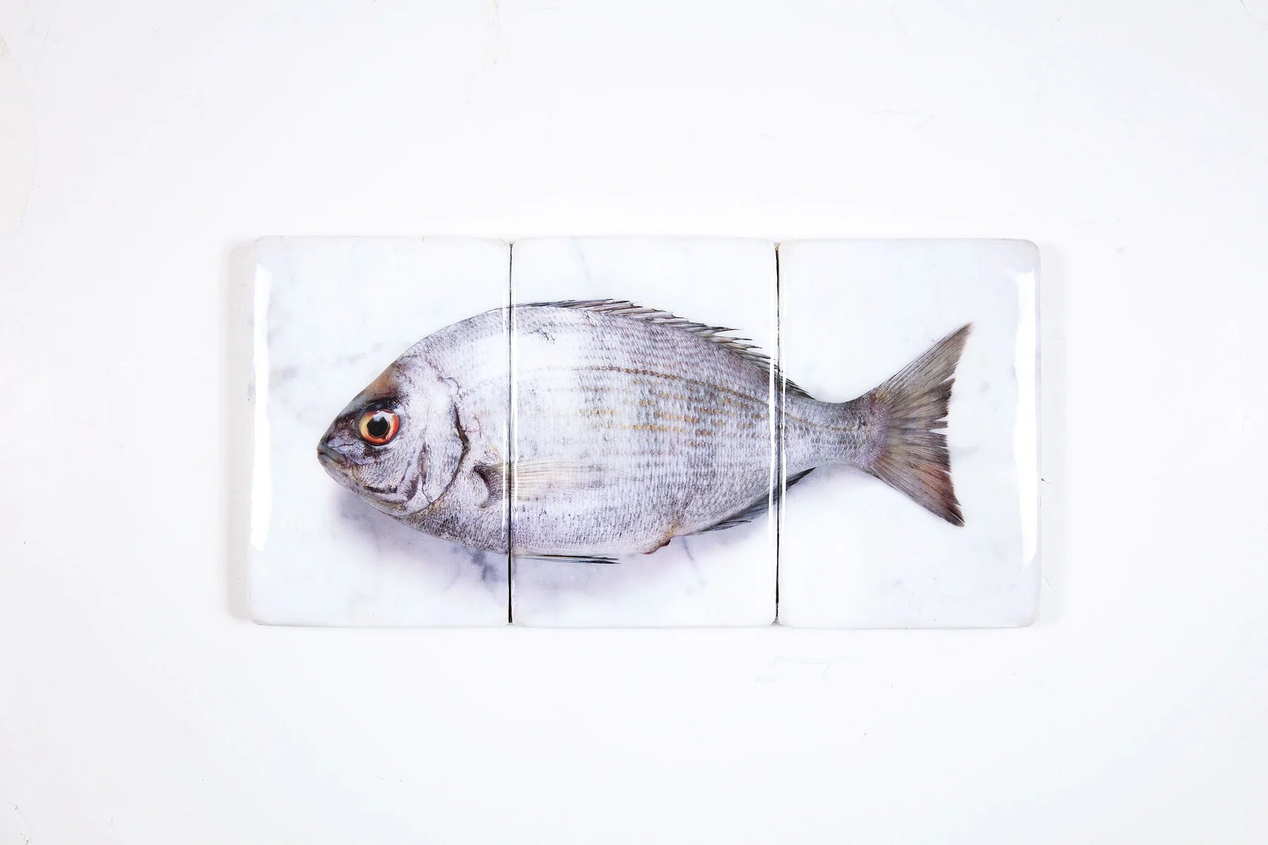 StigerWoods wooden tile Silver Dorade on Marble