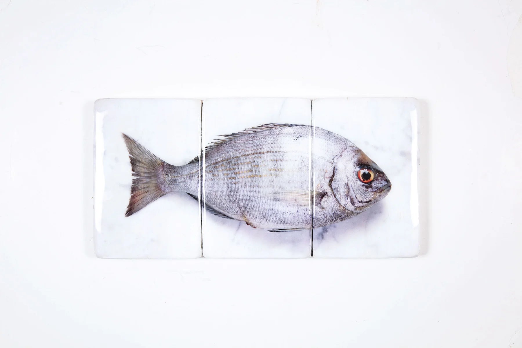 StigerWoods wooden tile Silver Dorade on Marble