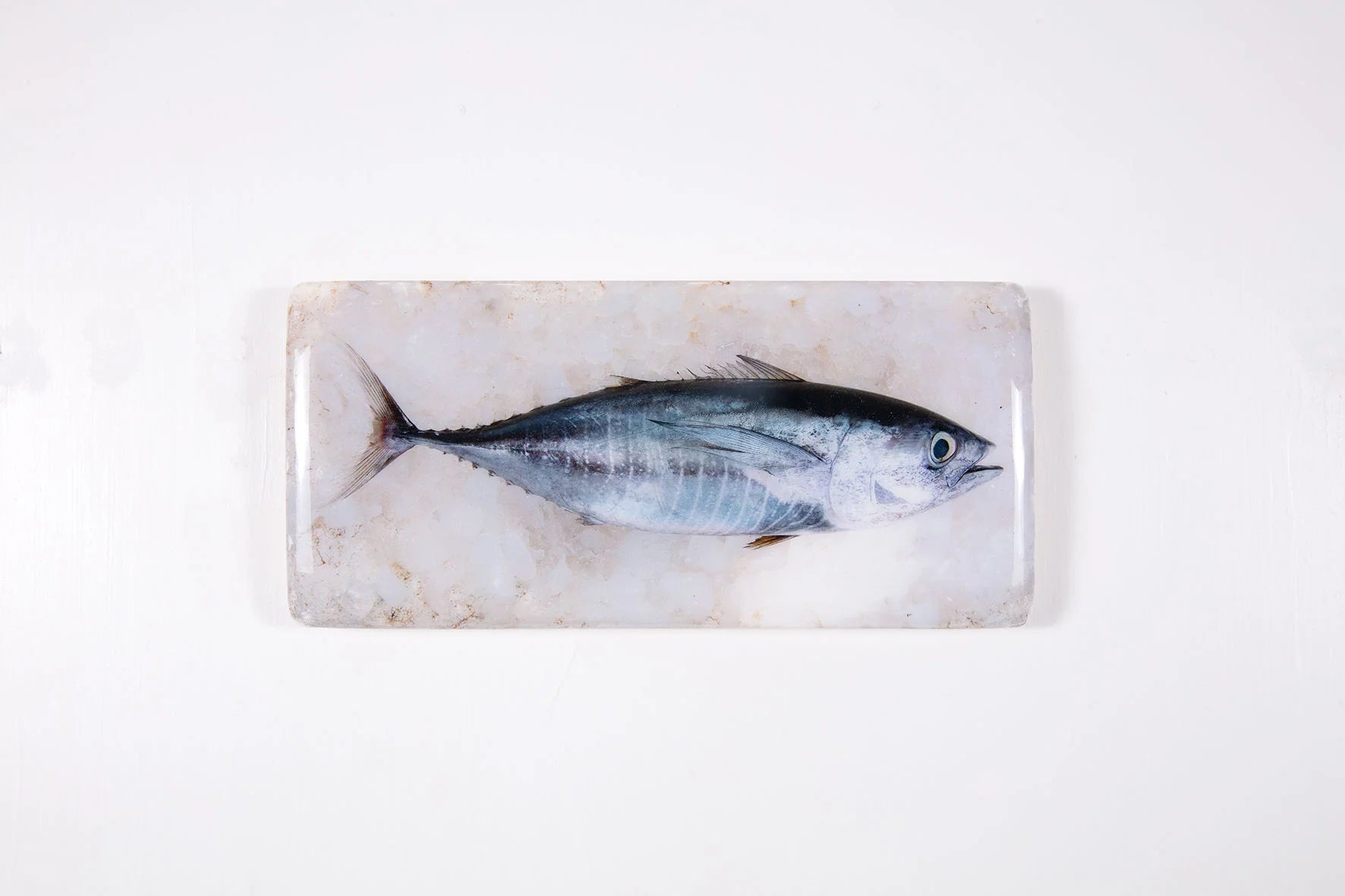 StigerWoods wooden tile Skipjack Tuna