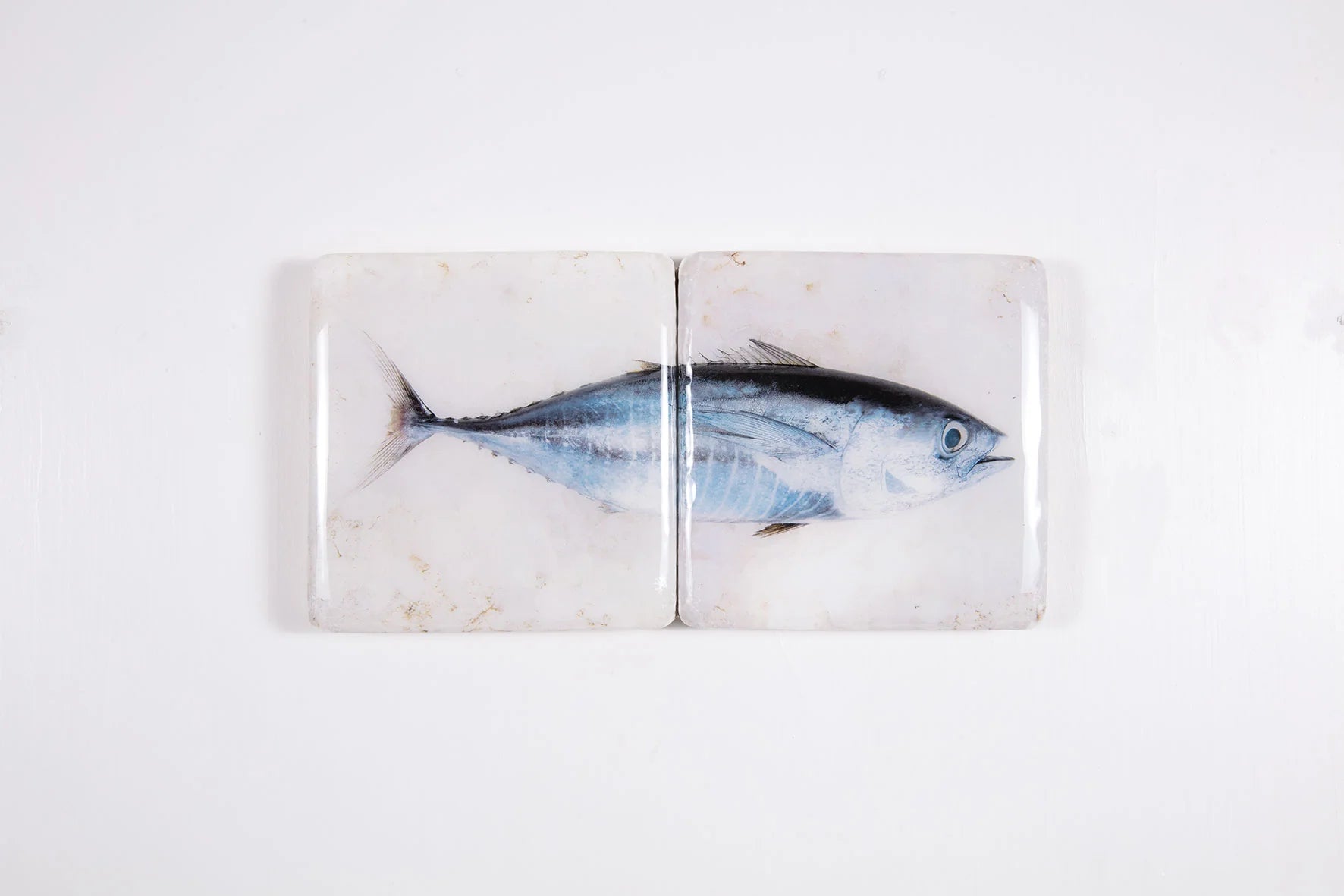 StigerWoods wooden tile Skipjack Tuna