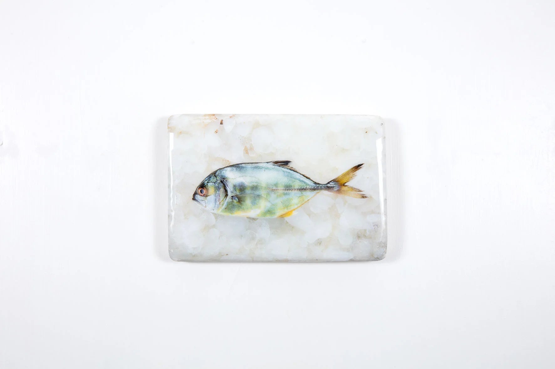 StigerWoods wooden tile Small Yellow Trevally