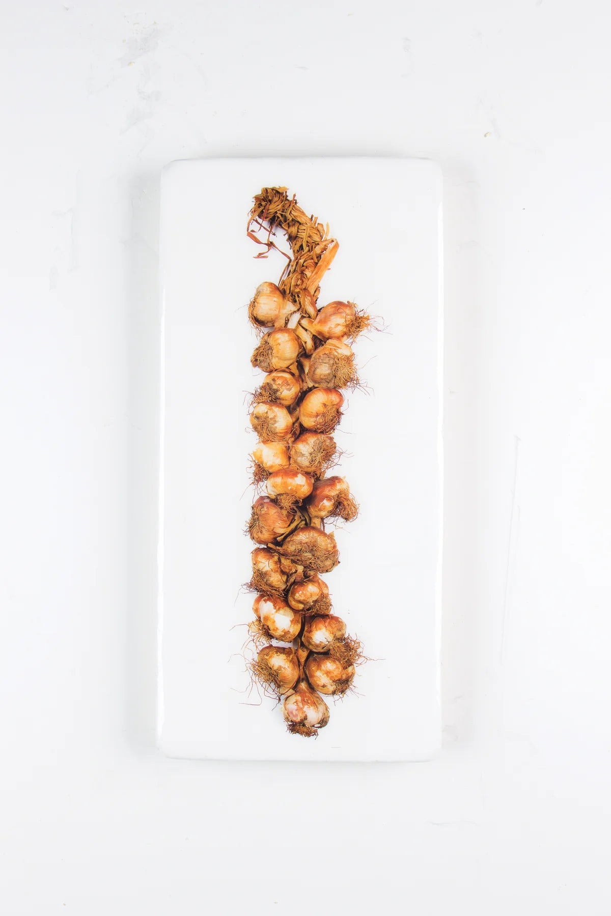 StigerWoods wooden tile Smoked Garlic String