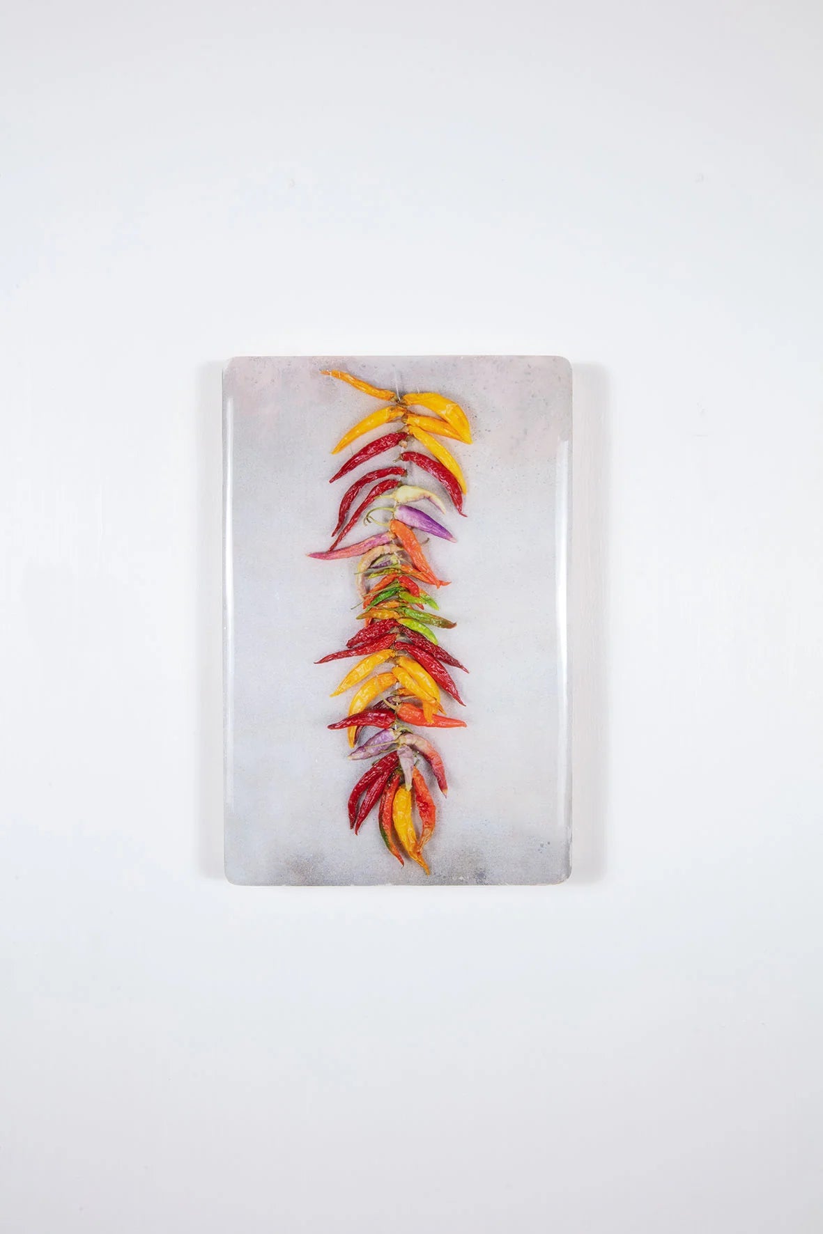 StigerWoods wooden tile String of Coloured Chili Peppers on Grey