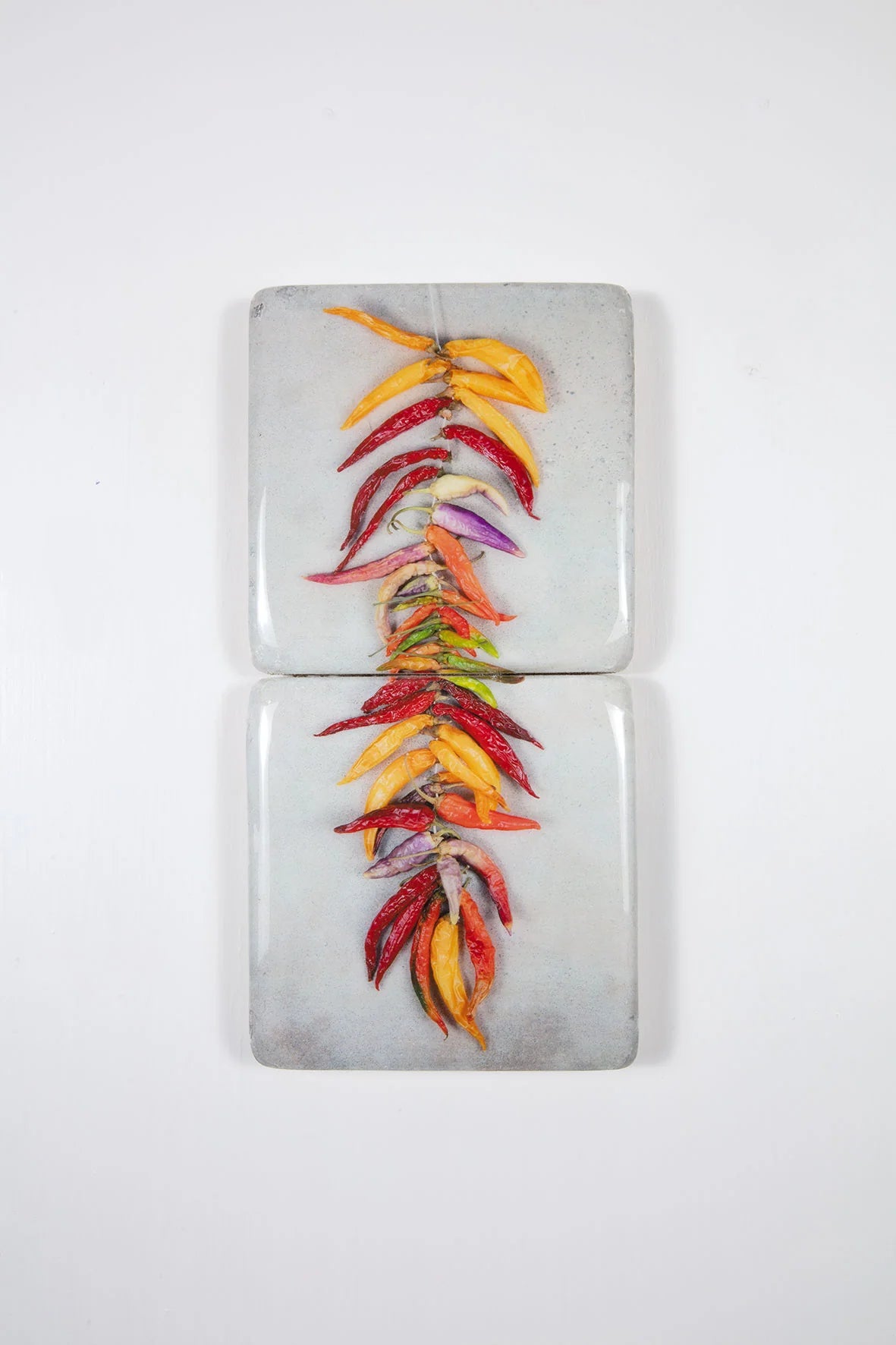 StigerWoods wooden tile String of Coloured Chili Peppers on Grey