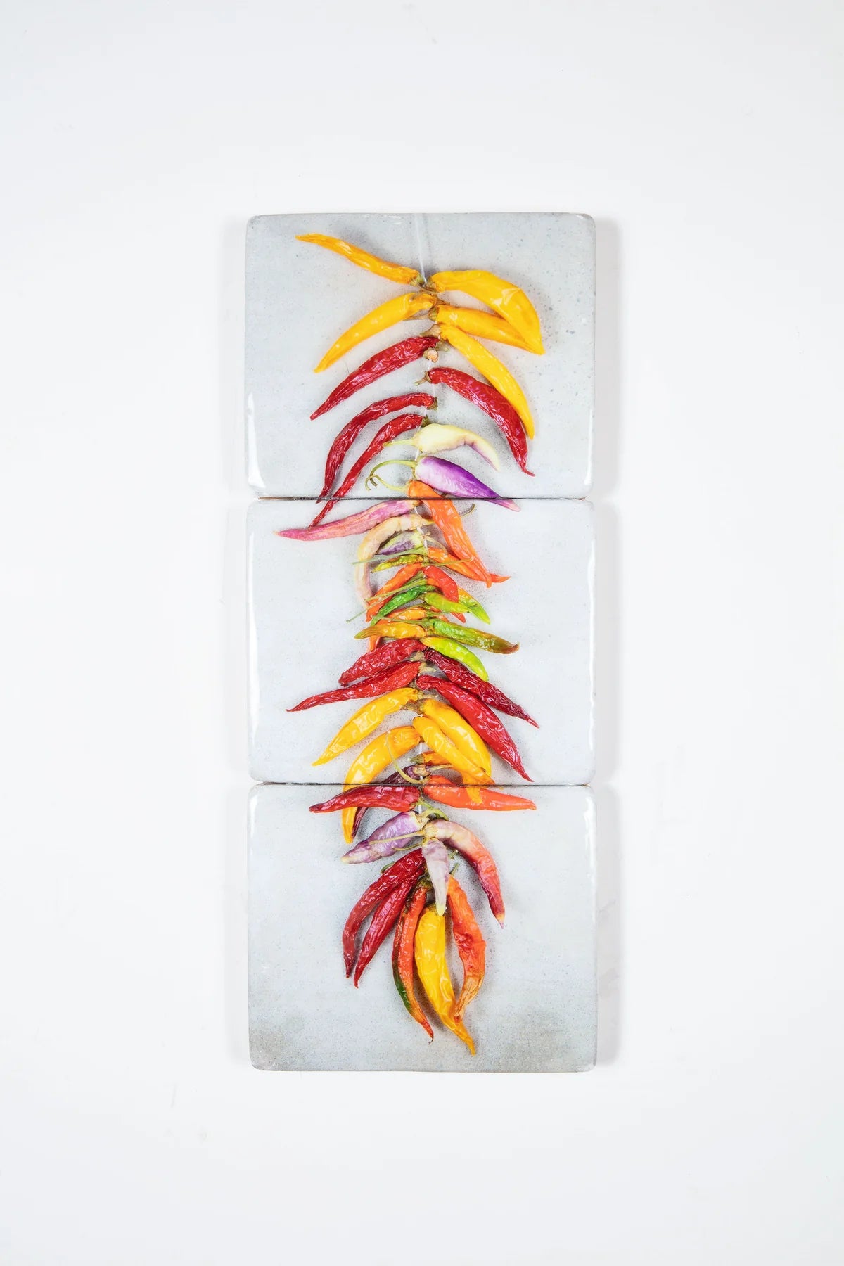 StigerWoods wooden tile String of Coloured Chili Peppers on Grey