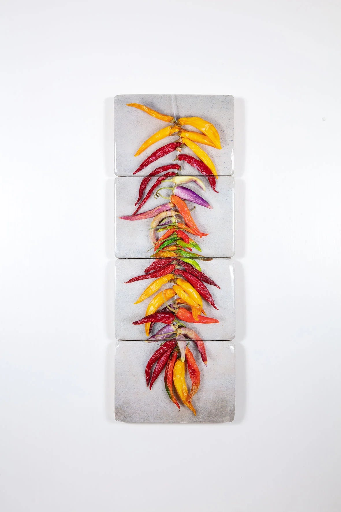 StigerWoods wooden tile String of Coloured Chili Peppers on Grey