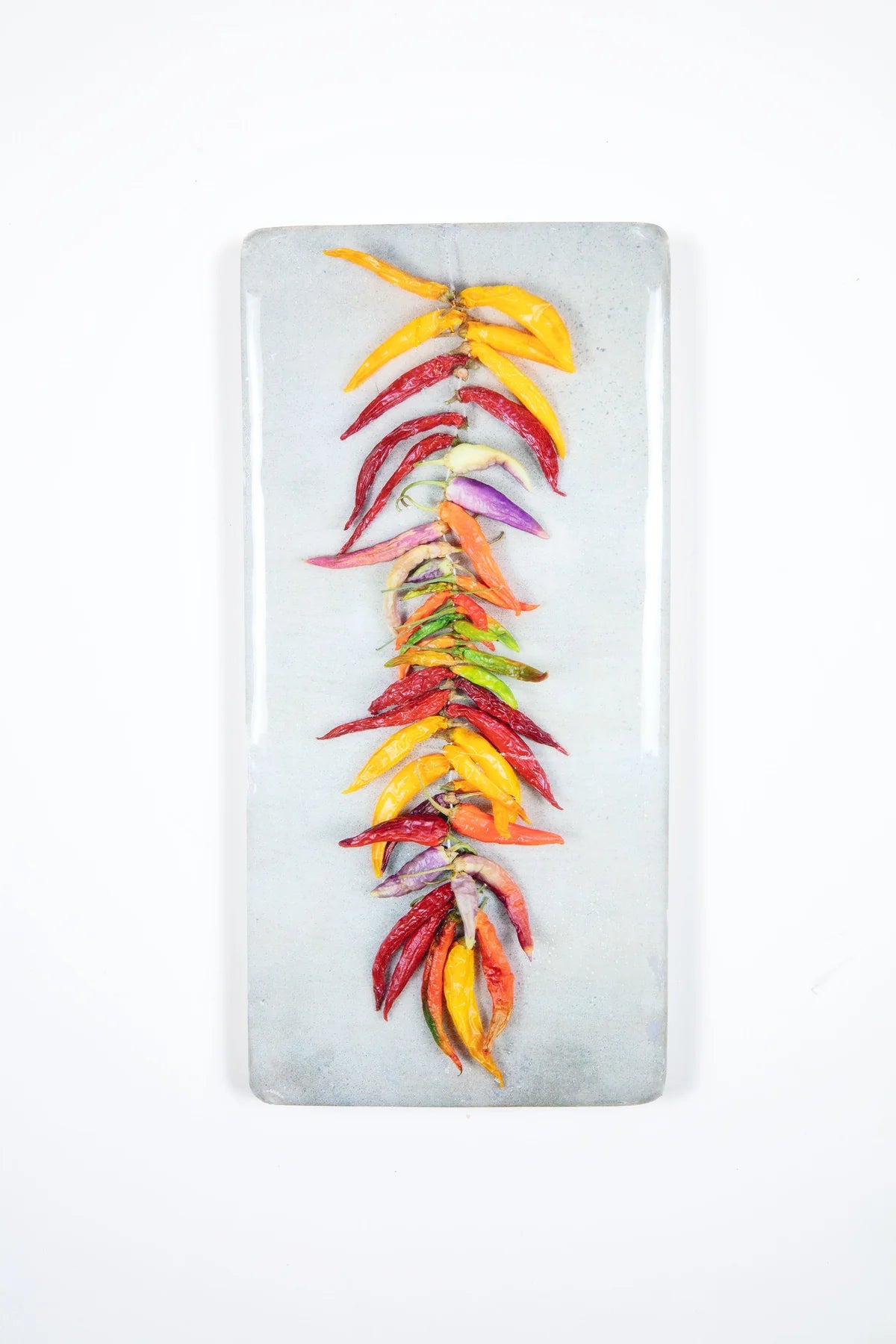 StigerWoods wooden tile String of Coloured Chili Peppers on Grey