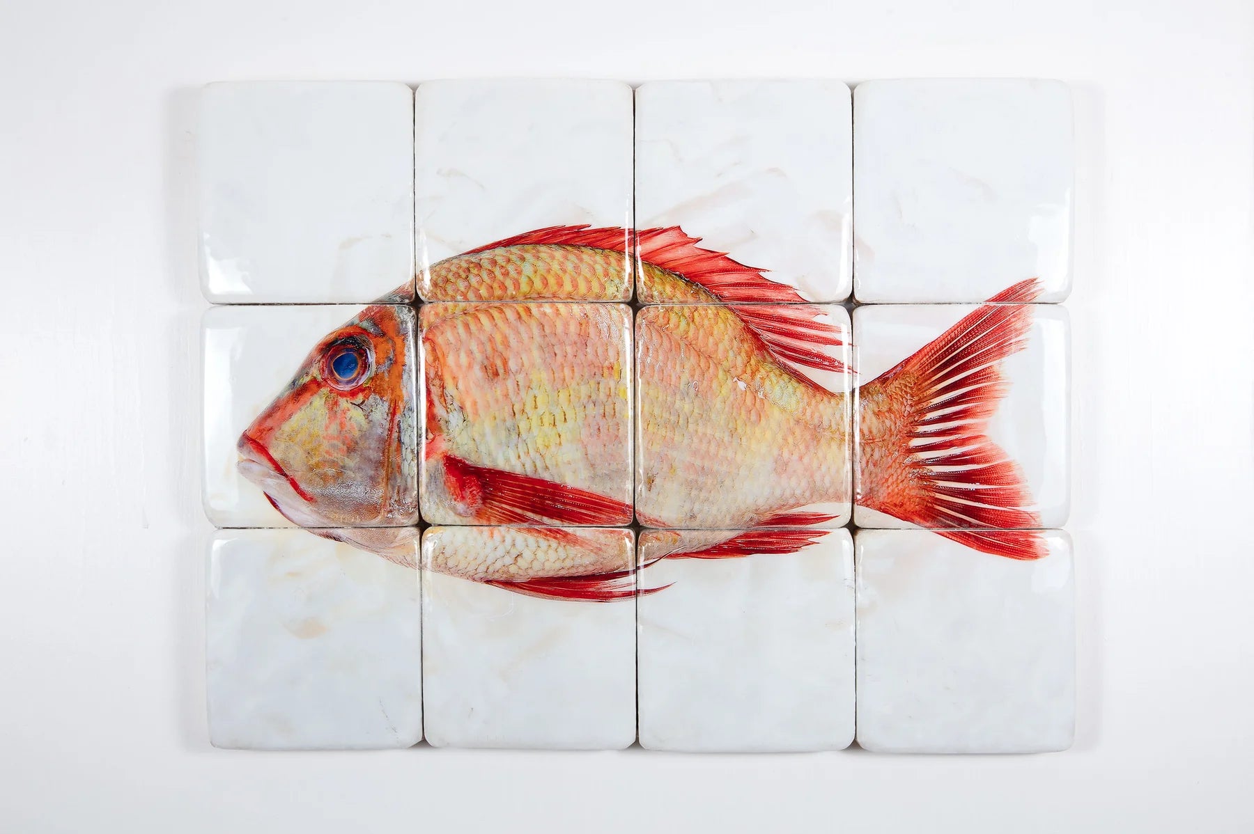 StigerWoods wooden tile Sweetlips Emperor