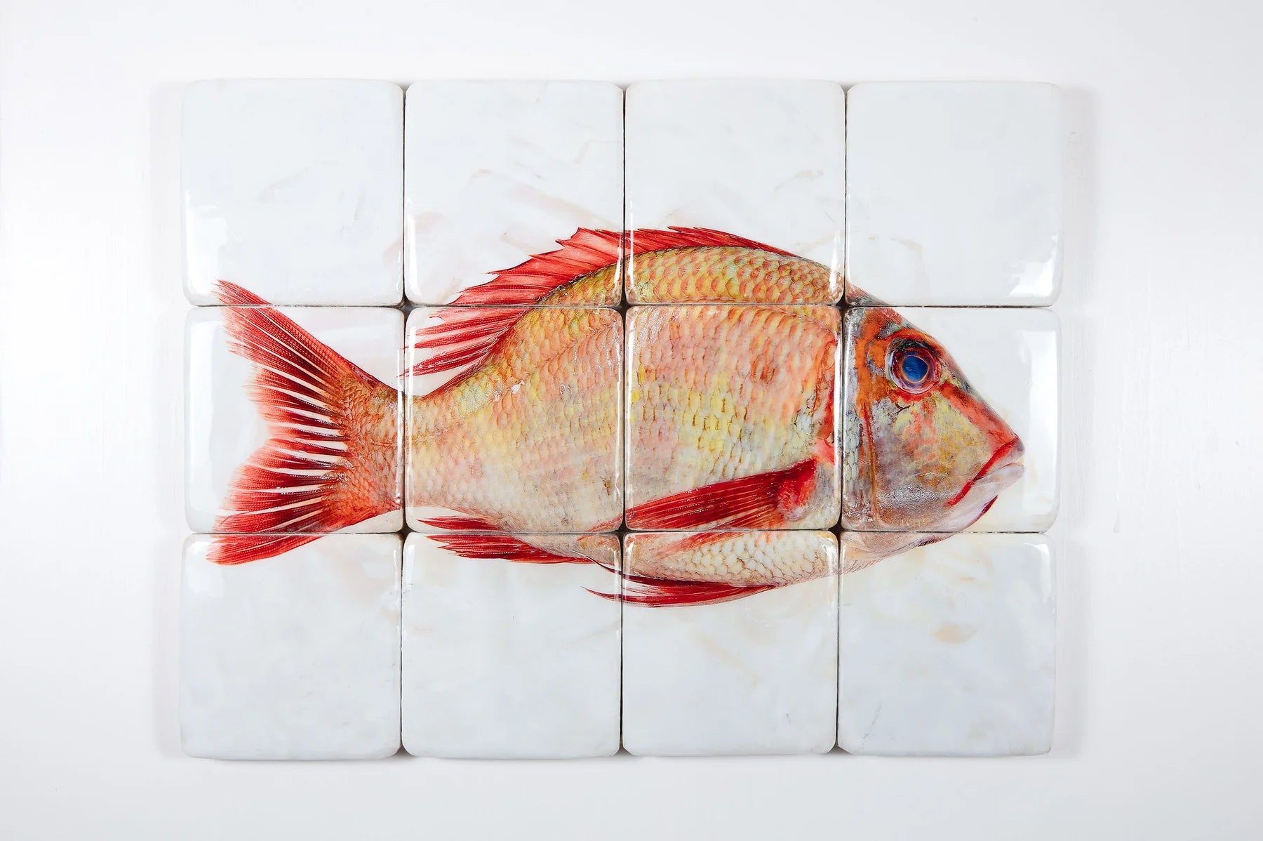 StigerWoods wooden tile Sweetlips Emperor