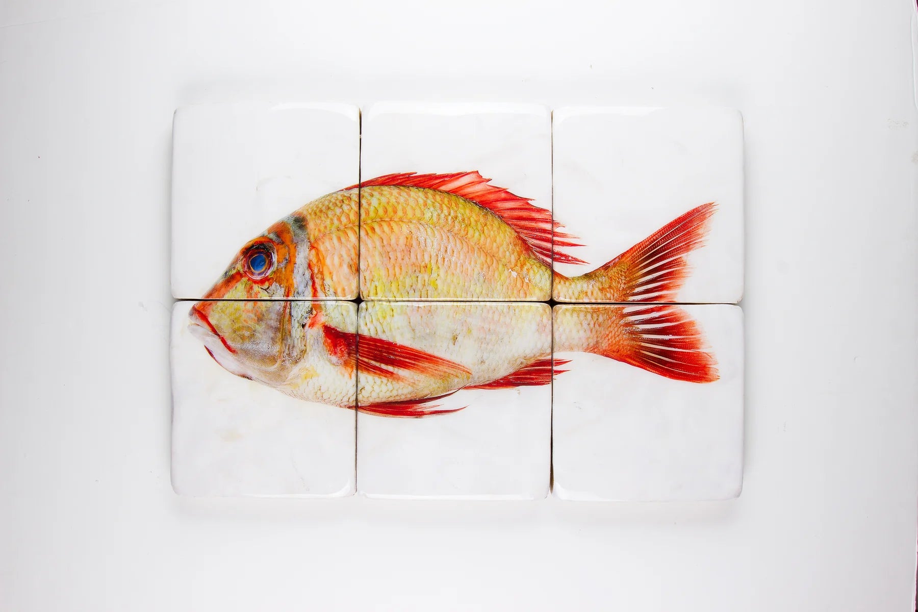 StigerWoods wooden tile Sweetlips Emperor