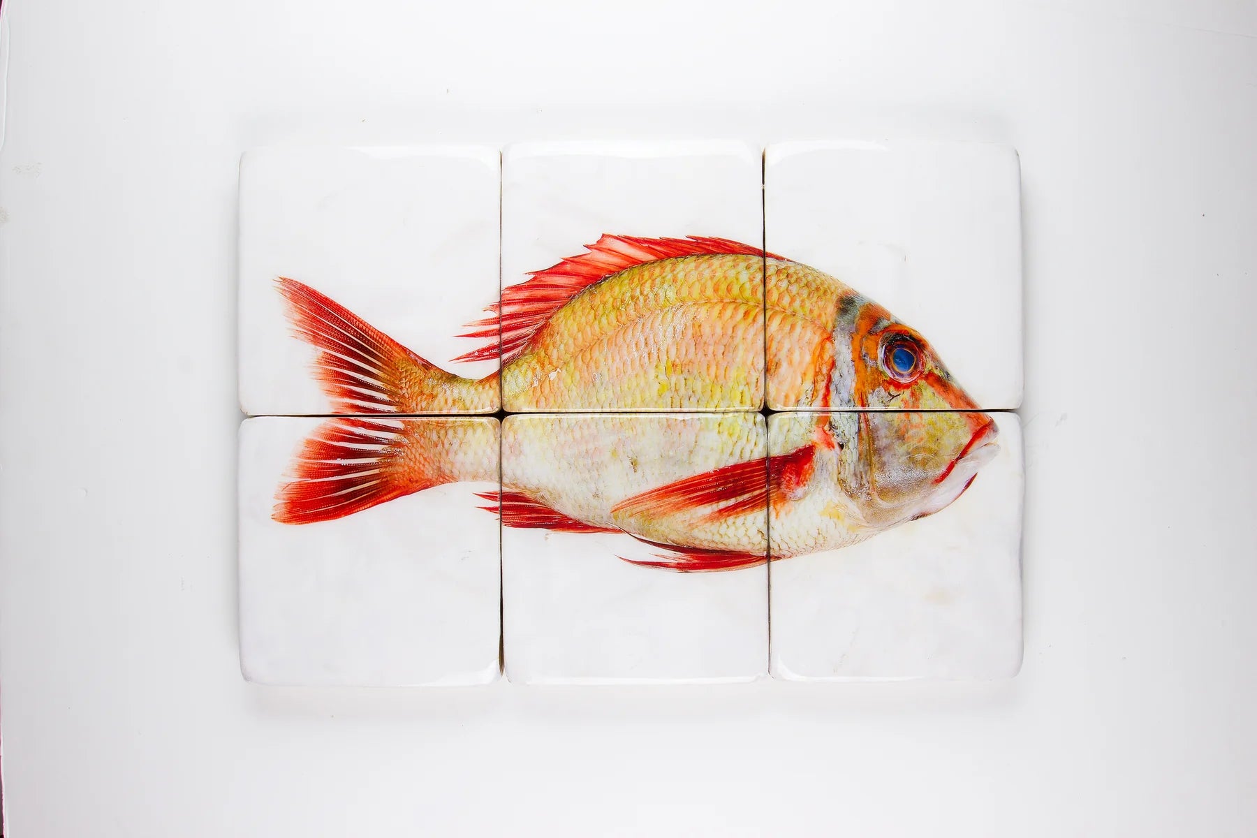 StigerWoods wooden tile Sweetlips Emperor