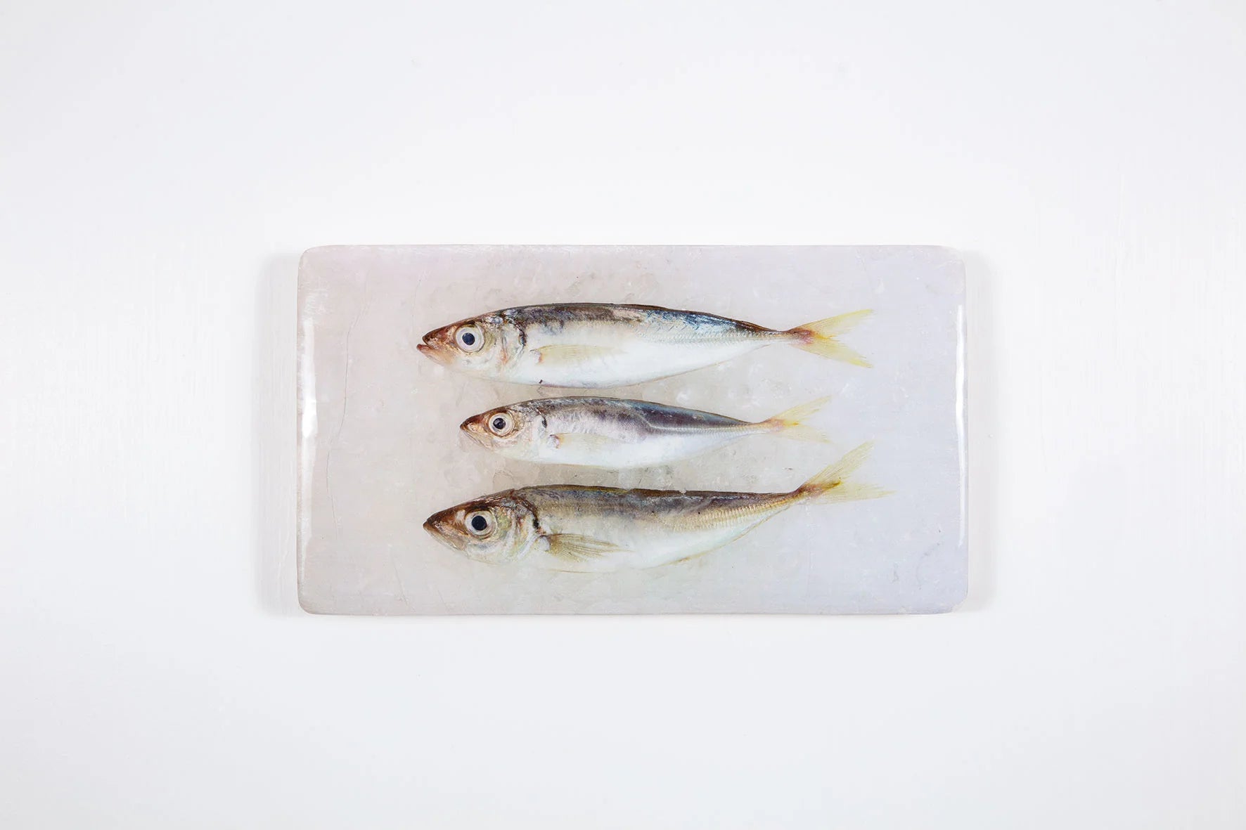 StigerWoods wooden tile Three Spanish Horse Mackerels