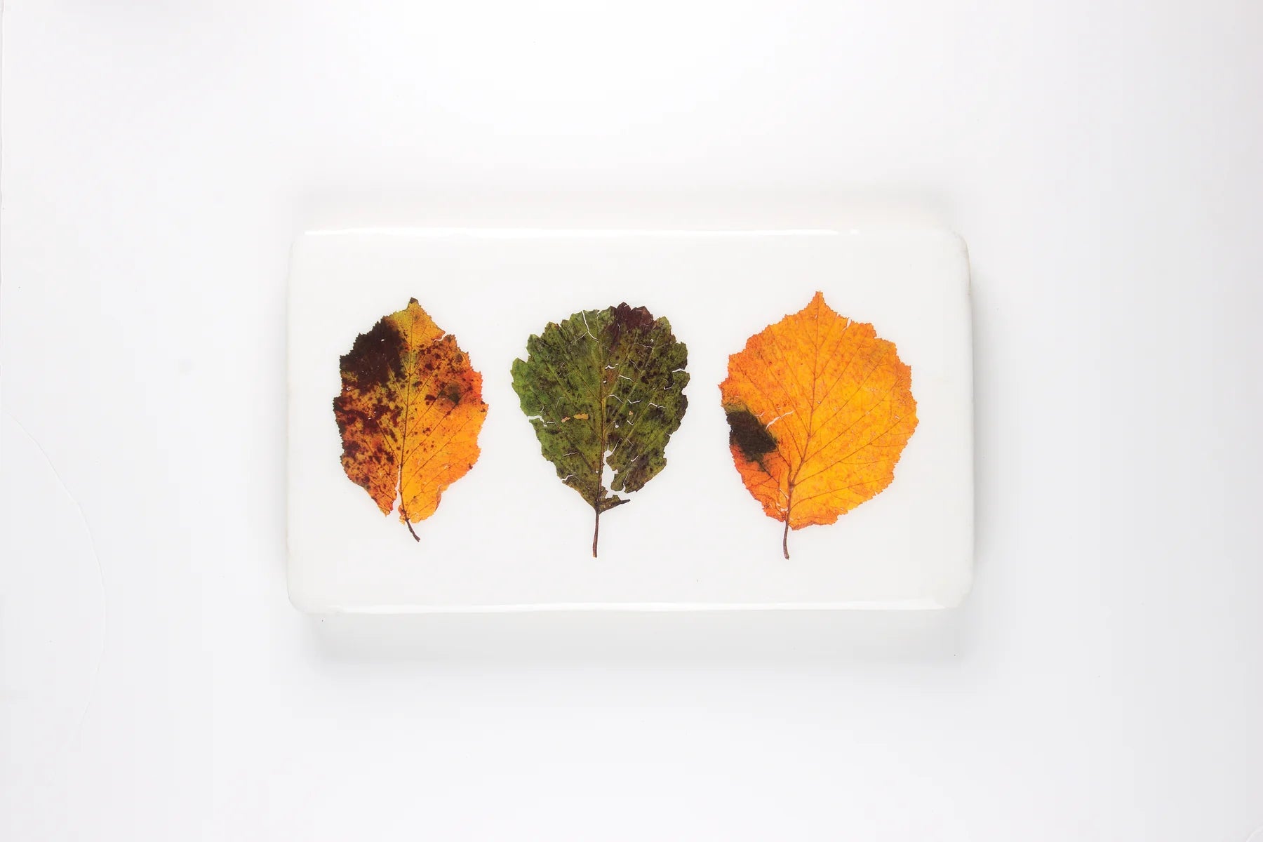 StigerWoods wooden tile Three Beach Leaves