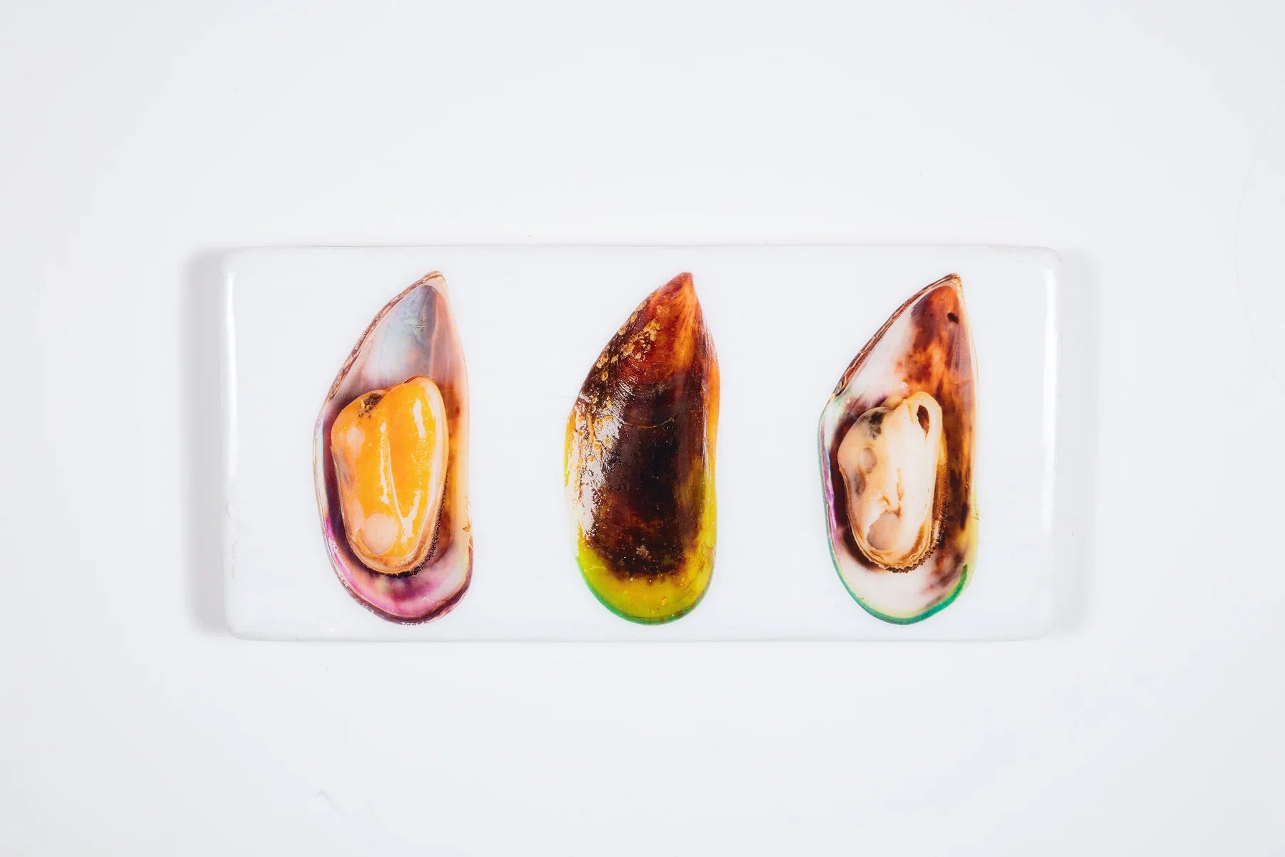 StigerWoods wooden tile Three Mussels