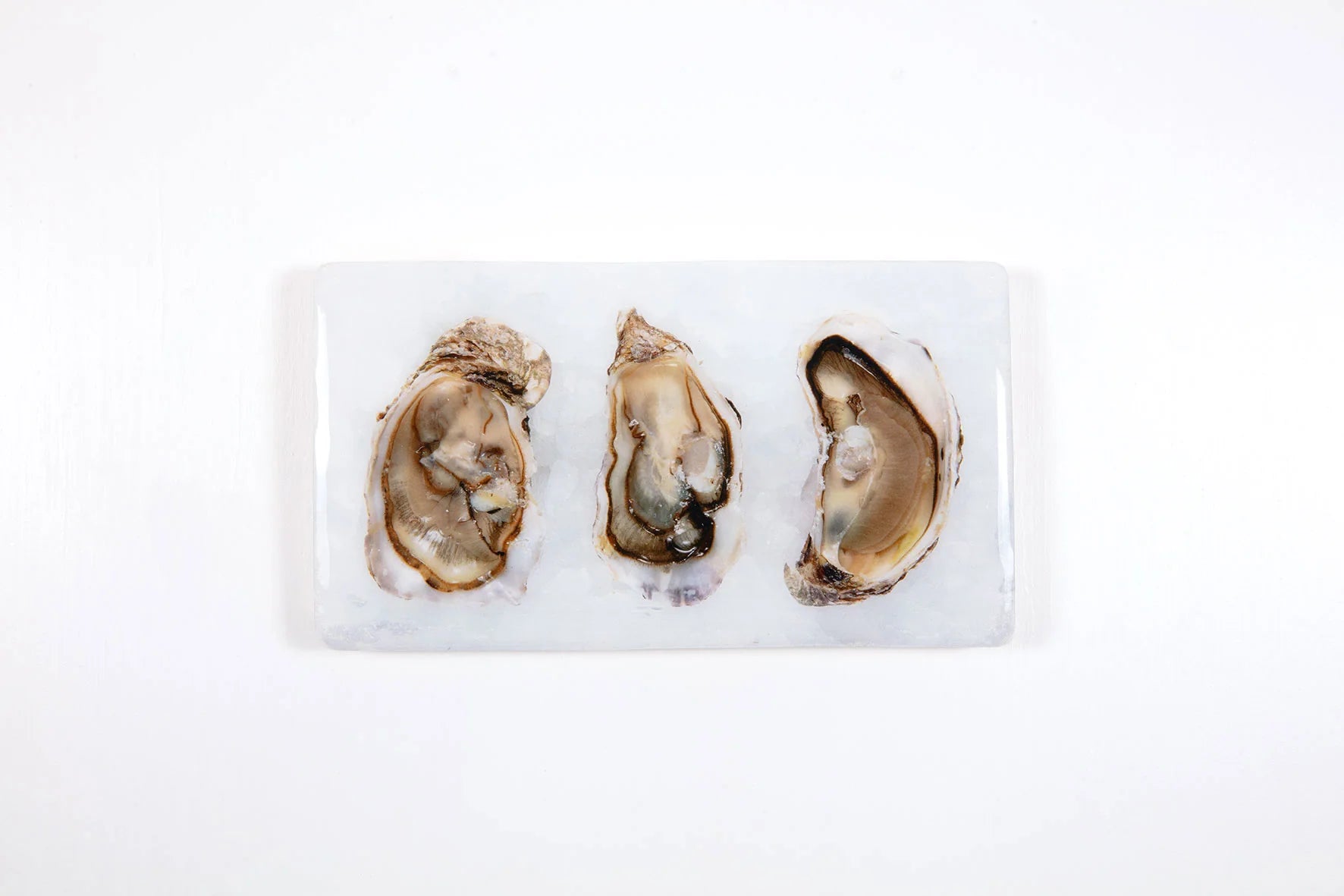 StigerWoods wooden tile Three Open Oysters