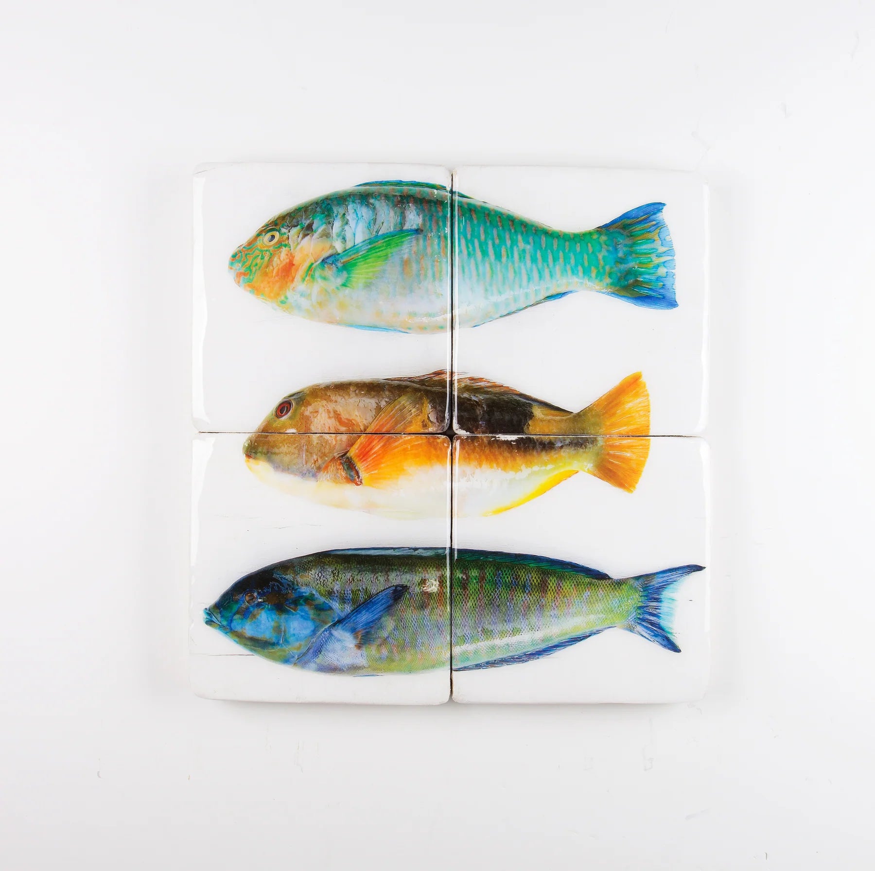 StigerWoods wooden tile Three Parrot Fishes