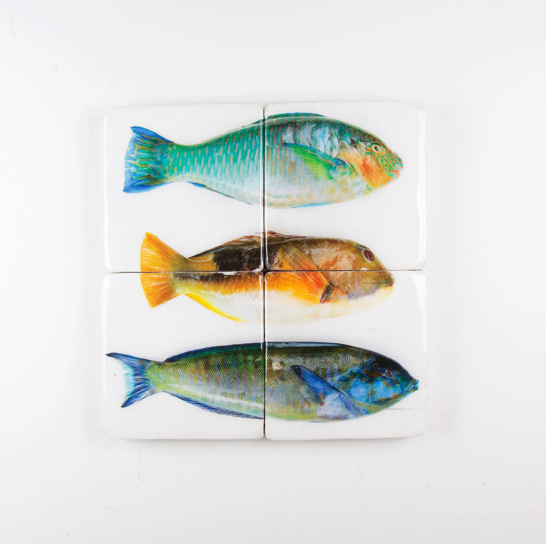 StigerWoods wooden tile Three Parrot Fishes